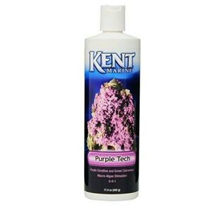 Kent Marine Purple Tech
